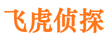 安县市侦探公司